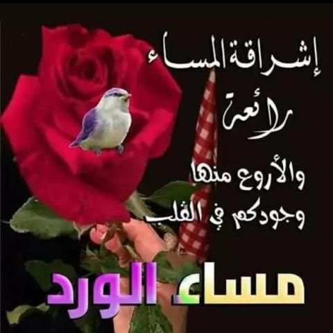 صور صباحية ومسائية متحركة 2019 *
‎ screenshot 1