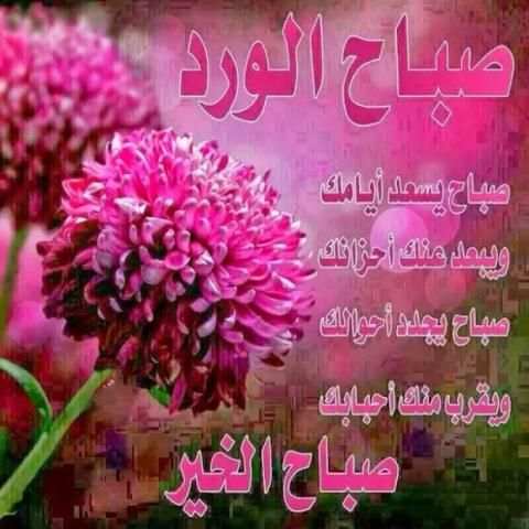 صور صباحية ومسائية متحركة 2019 *
‎ screenshot 2