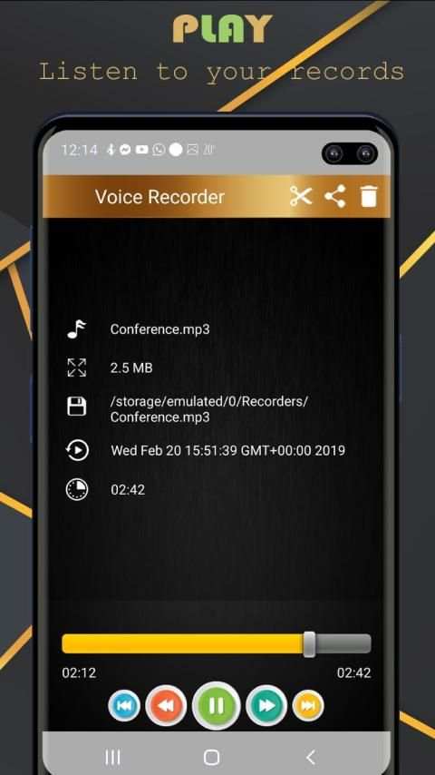 Voice Recorder Pro - Audio recorder स्क्रीनशॉट 4