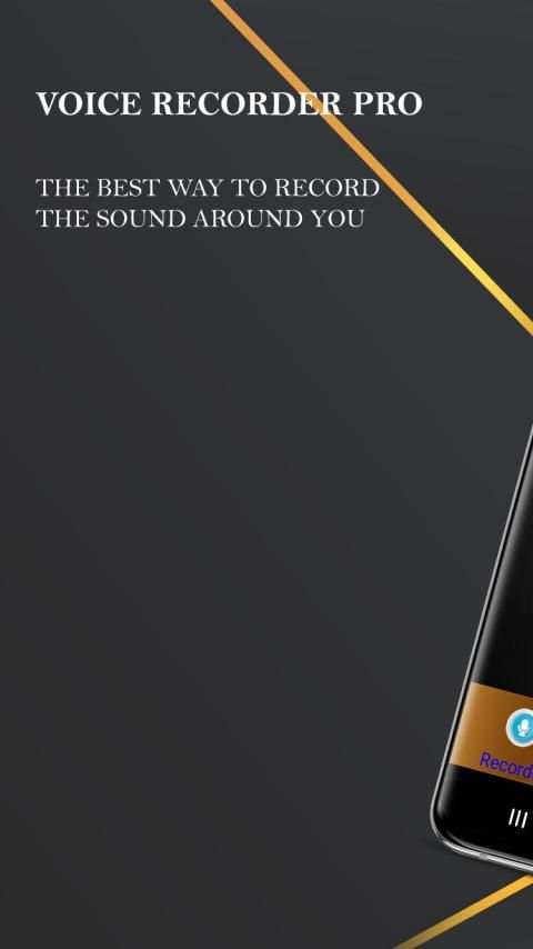Voice Recorder Pro - Audio recorder स्क्रीनशॉट 1