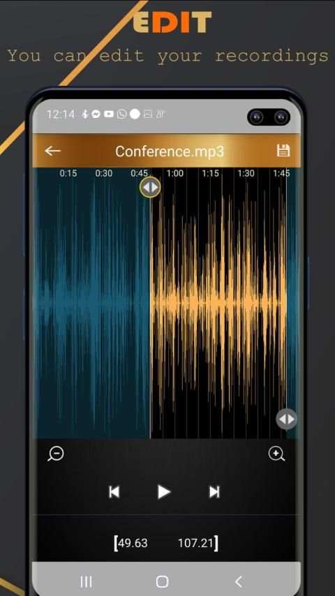 Voice Recorder Pro - Audio recorder स्क्रीनशॉट 5