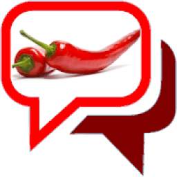 SpicyChat 11.3