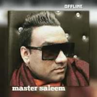 all best punjabi songs -Master Saleem on 9Apps