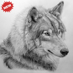 ikon Wolf Drawing