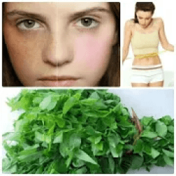 Game ZGodnyvlu NNobag Story आइकन