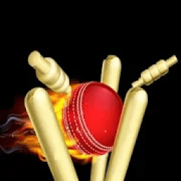 Play Cricket Game आइकन