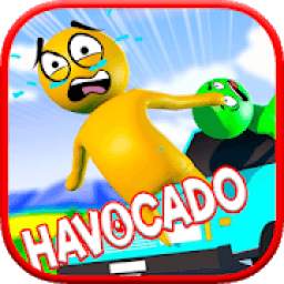 The Havocado MultiPlayer 1.0