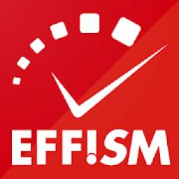 EFFISM