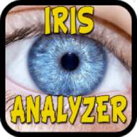 Iris Analyzer on 9Apps