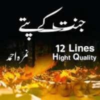 Jannat Kay Patty on 9Apps