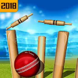 ikon Top Cricket Ball Slope Game