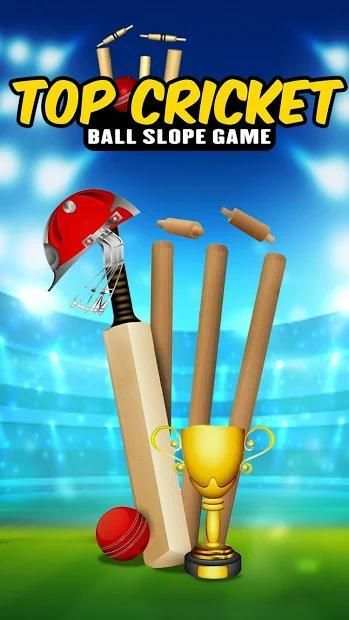 Top Cricket Ball Slope Game स्क्रीनशॉट 2