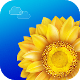 ikon Gallery 2019 : Fast &amp; Secure