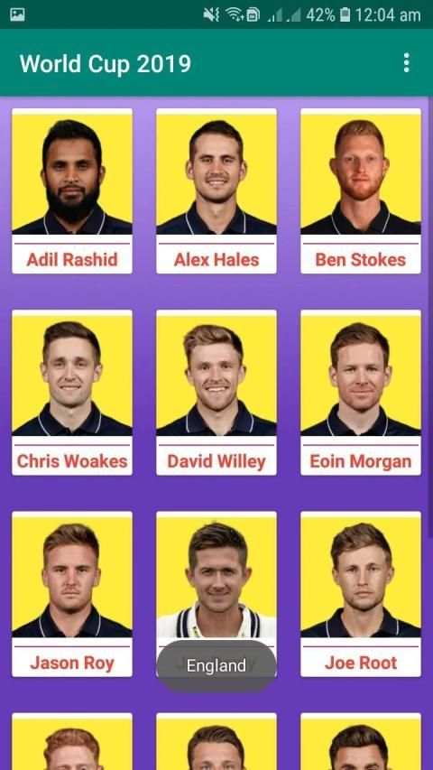 World Cup Cricket'19 screenshot 2
