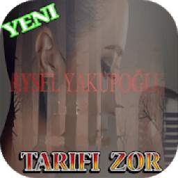 Aysel Yakupoglu 1.3