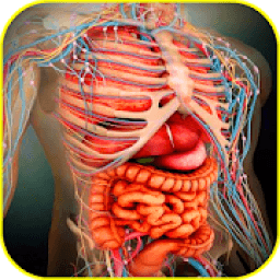 ikon Atlas of Human Anatomy Offline