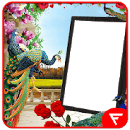 Peacock Insta DP आइकन