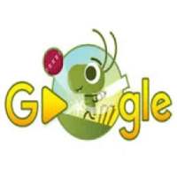 Google Cricket