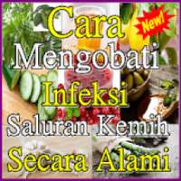 Cara Mengobati Infeksi Saluran Kemih secara Alami on 9Apps