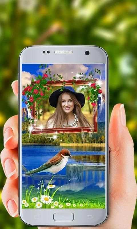 Birds Photo Frames HD screenshot 5