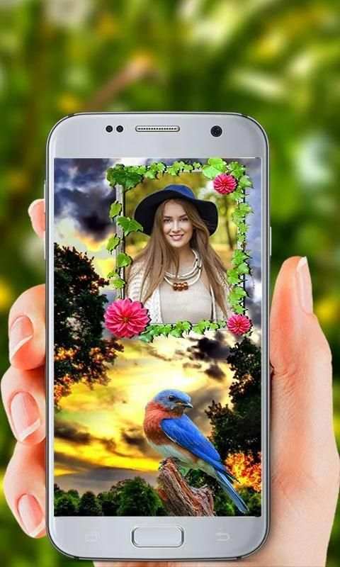 Birds Photo Frames HD screenshot 2