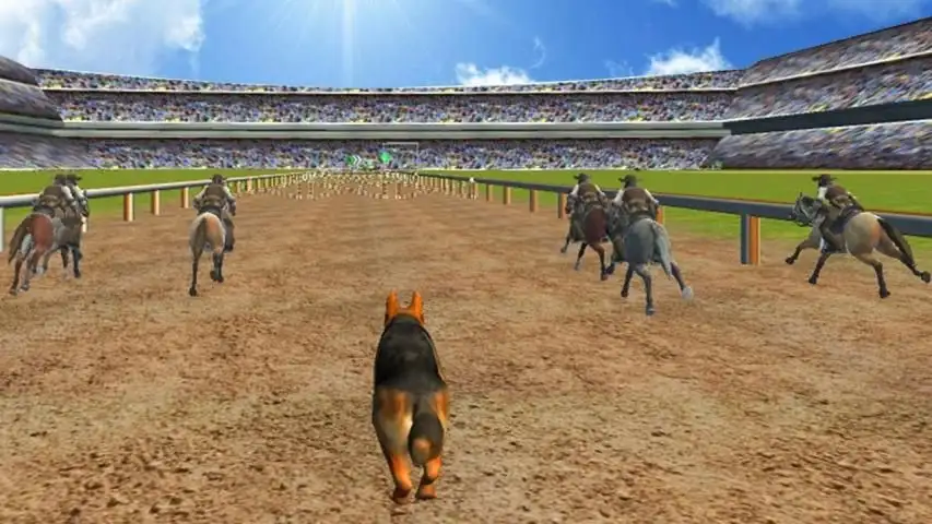 Crazy Dog Race 3D Simulation Android Gameplay ᴴᴰ 