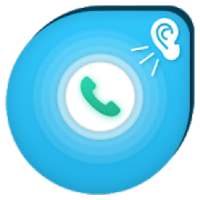 Gesture Answer Call, Auto Ear Pickup