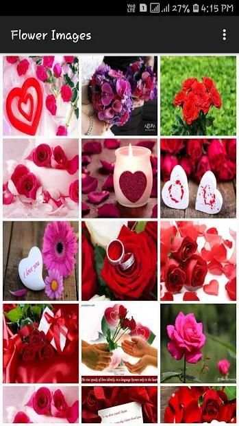 Flower Images screenshot 1