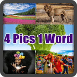 4 Pics 1 Word New icon