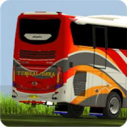 Livery Bus Tunggal Dara 2.0