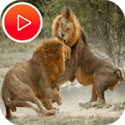 عالم الحيوانات المفترسة - ناشونال جيوجرافيك
‎ icon