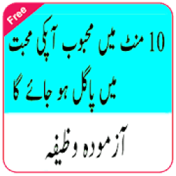 Dil Mein Mohabbat Paida Karna icon