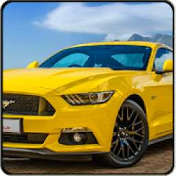 Mustang car racing simulator