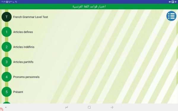 French Grammar Test скриншот 2