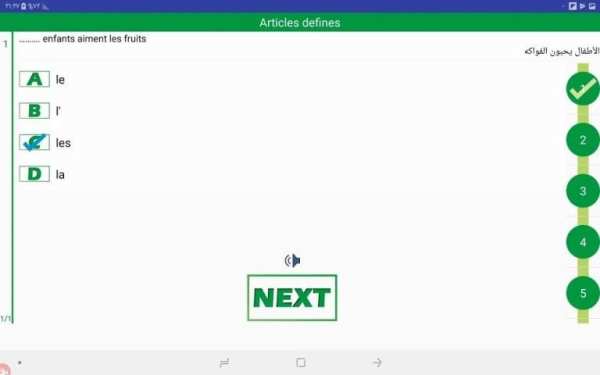 French Grammar Test скриншот 1