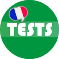 French Grammar Test on 9Apps