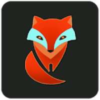 Photo Animator Pixaloop Light Guide