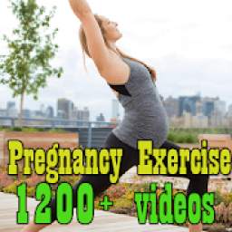 Pregnancy Workout Exercises
