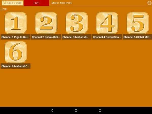 MC-IN screenshot 6
