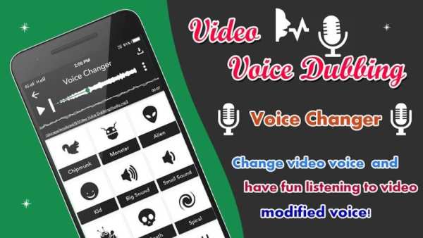 Video Vioce Dubbing screenshot 1