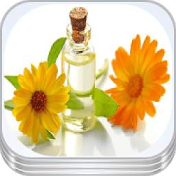 Recetas de plantas medicinales 1.0