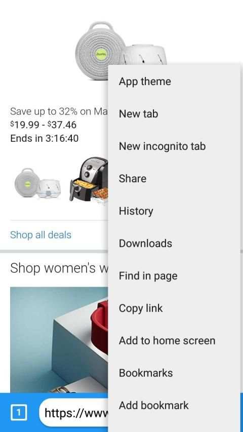 Flush web Browser screenshot 2