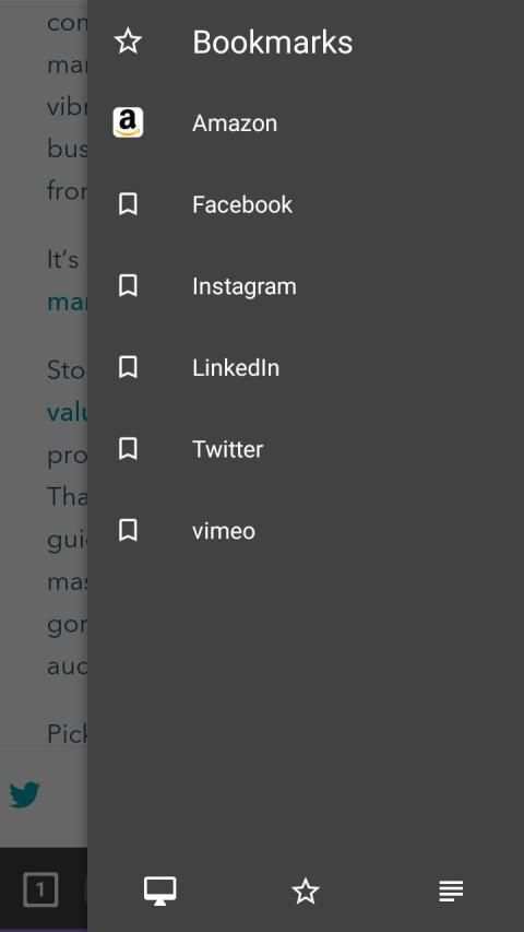 Flush web Browser screenshot 3