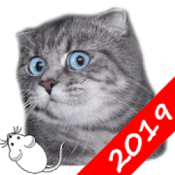 Мышка для кота. Игры для кота आइकन