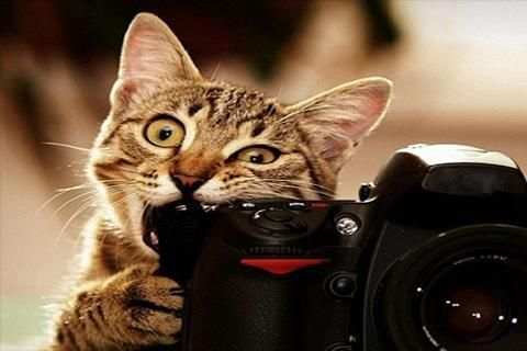 Camera For Nikon - HD Camera 2019 स्क्रीनशॉट 3