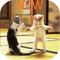 ندى حبيبة بابا و ماما - بدون نت 2019
‎ on 9Apps