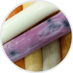 Receitas de Geladinho, Sacolé, Dindin Gourmet icon