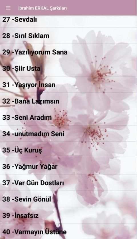 İbrahim Erkal Şarkıları(İnternetsiz) скриншот 4