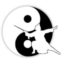 Wudang Taichi