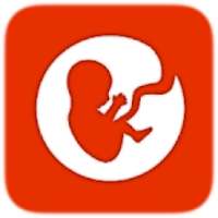 BitLife - Life Simulator on 9Apps